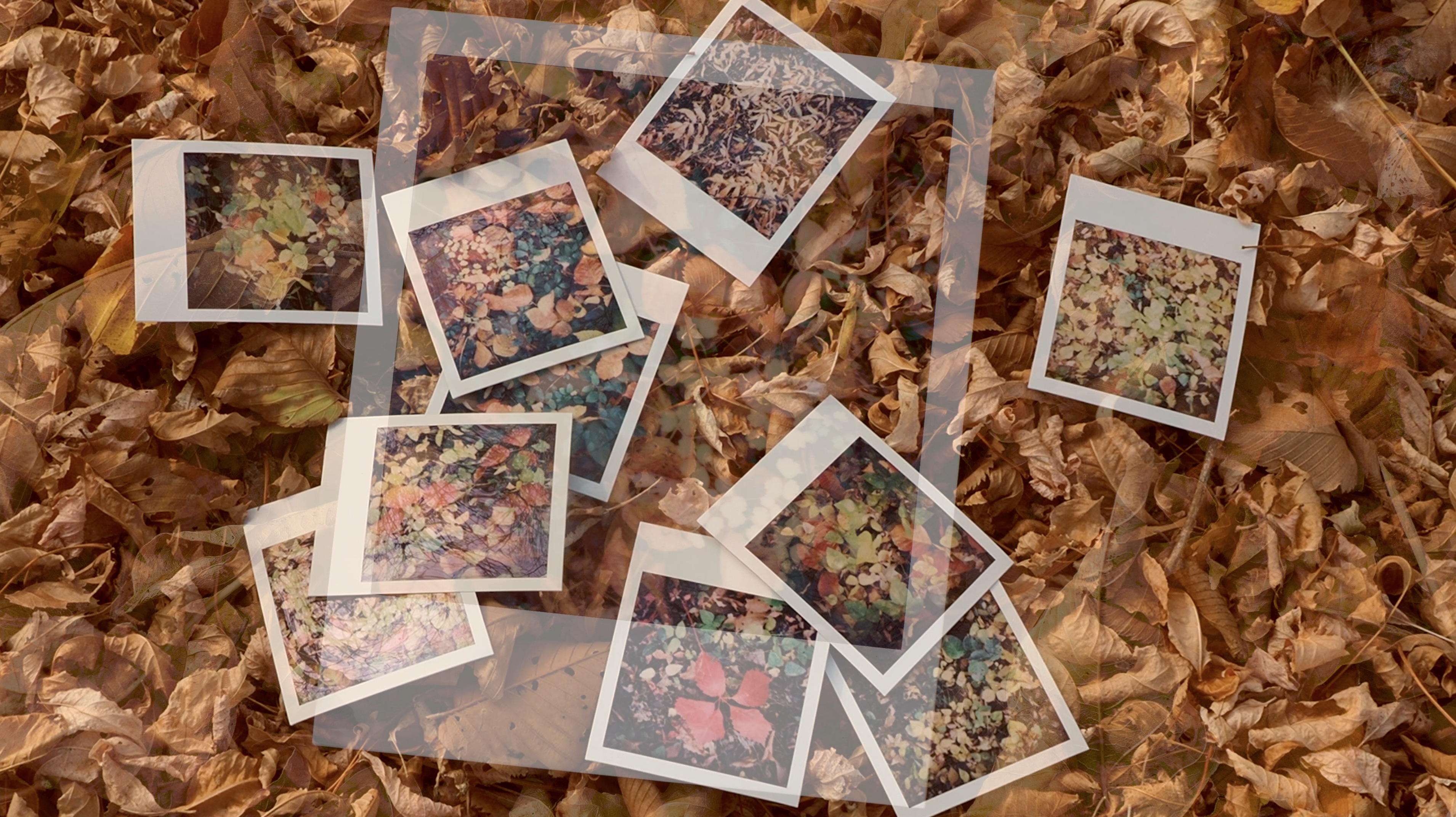 falling-polaroid-thumbnail – WALKCLICKMAKE